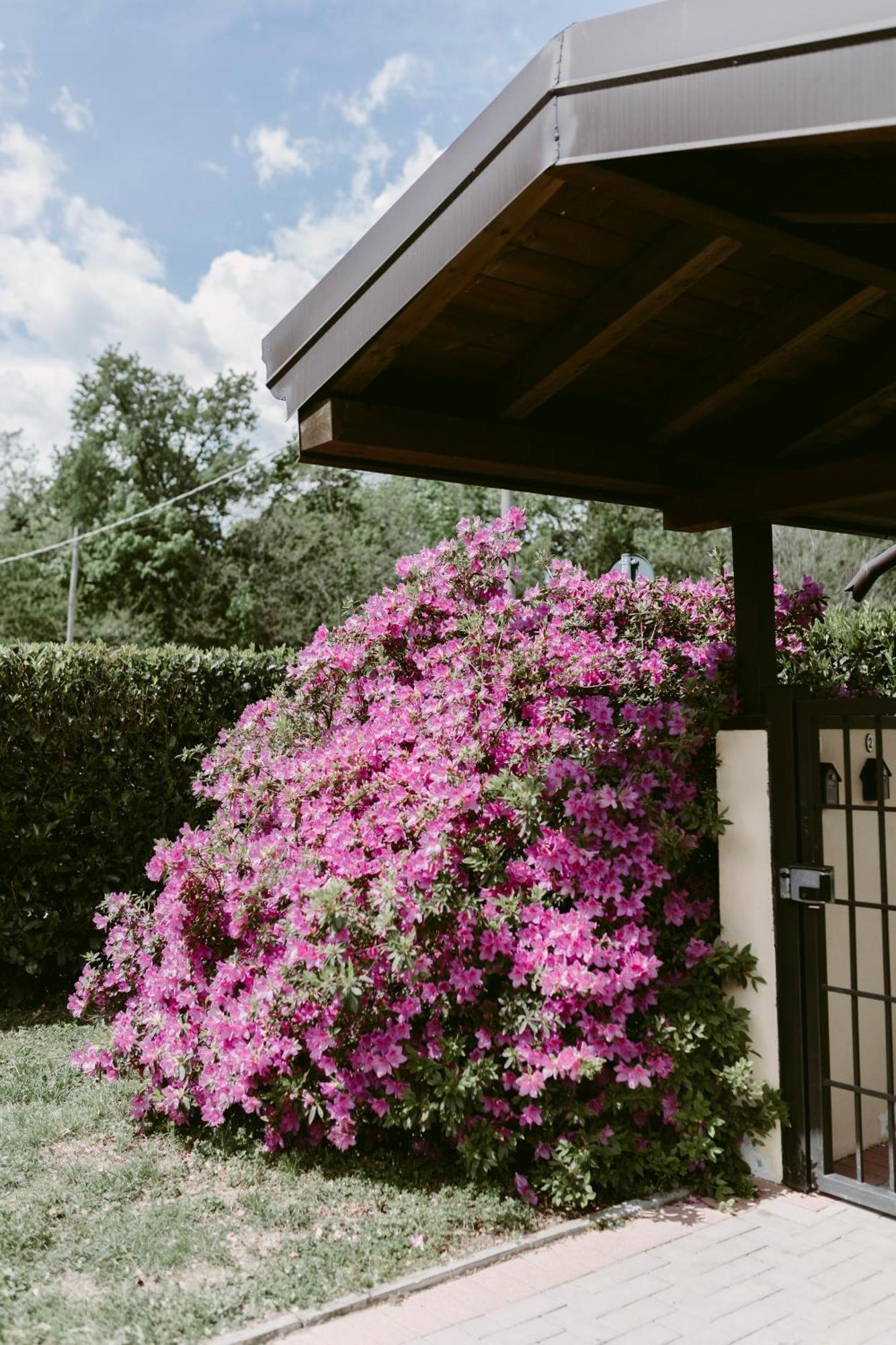 La Casetta Malpensa Guesthouse Case Nuove  Exterior foto
